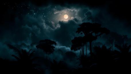 Moonlit Mystique Under Midnight Skies wallpaper