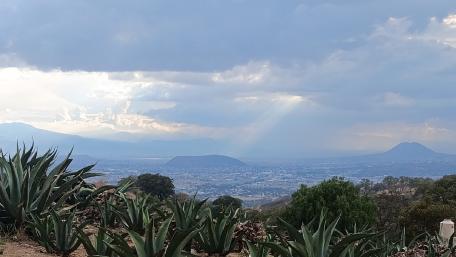 Majestic Mountain View with Agave at Dawn wallpaper