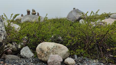 Serene Nature's Balance with Stone Cairns and Greenery wallpaper