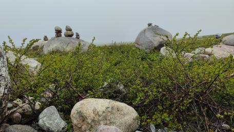 Serene Landscape of Balanced Stones and Lush Greenery wallpaper