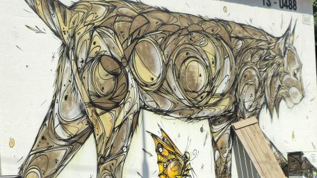 Artistic Graffiti in Penelles Streets wallpaper