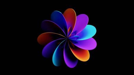 Vibrant Petals on Dark Canvas wallpaper