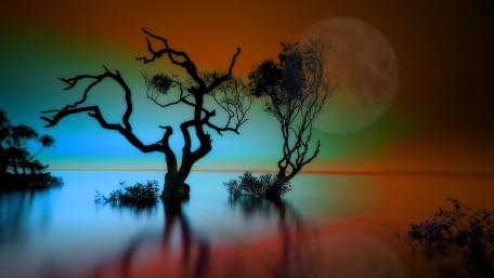 Moonlight Serenity Over Tranquil Waters wallpaper