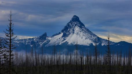 Majestic Peak of Mount Washington in Oregon wallpaper