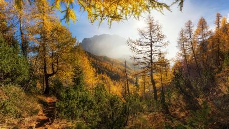Golden Autumn Dreamscape in a Misty Valley wallpaper