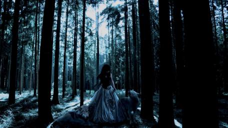 Enchanted Forest Guardians: The White Wolves Watch wallpaper