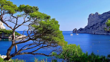 Serene Beauty of Calanques National Park wallpaper