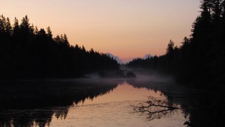 Foggy Sunrise wallpaper