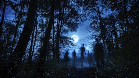 Moonlit Specters in the Aokigahara Forest wallpaper