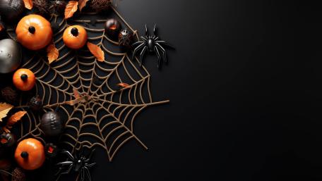 Spider Web Elegance for Halloween Vibes wallpaper