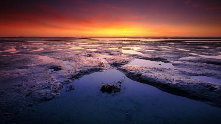 Sunset Panorama over Tranquil Tidal Flats at Dusk wallpaper