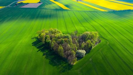 Heartland Sanctuary in Verdant Fields wallpaper