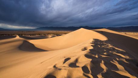 Golden Waves of the Sahara Desert wallpaper