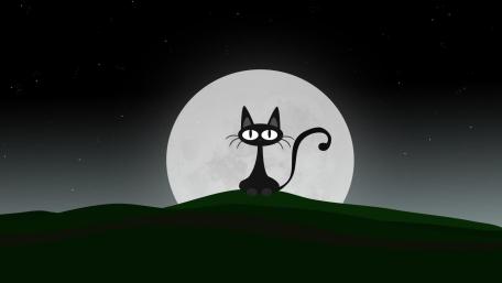 Silly Black Cat Under the Moonlit Sky wallpaper