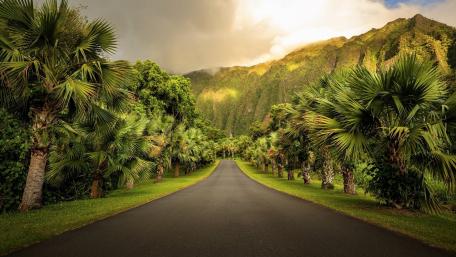 Ho'omaluhia Botanical Garden Oahu, Hawaii wallpaper