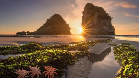 Golden Horizon Serenity wallpaper