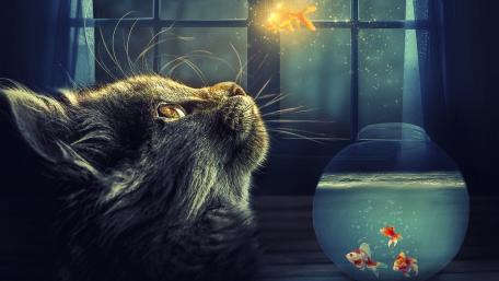 Magical Midnight Dreamscape with Enchanted Cat wallpaper