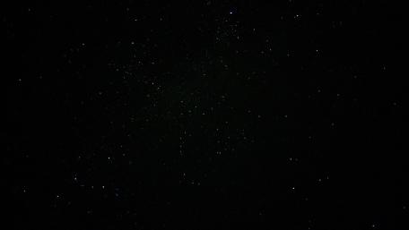 Colourful stars scattered across the darkness of the black sky behind them. wallpaper