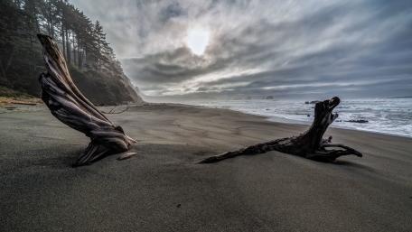 Shi Shi Beach Serenity at Olympic National Park wallpaper
