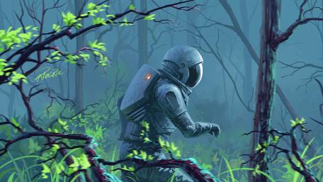 Explorer in the Enchanted Jungle wallpaper