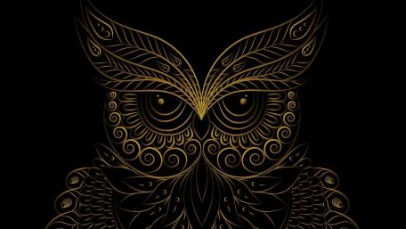Black and Gold Owl on Black Background wallpaper