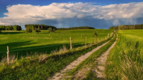 Summer Serenity on a Rural Dirt Road wallpaper