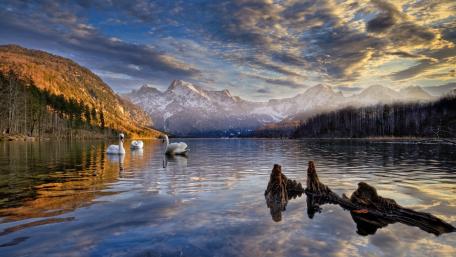Serene Beauty of Almsee Lake in Austria wallpaper