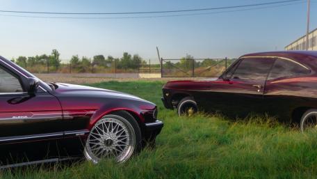 BMW and Chevy Classic Elegance in Nature's Embrace wallpaper