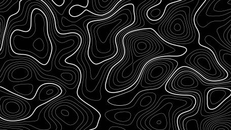 Topographic Waves in Monochrome Elegance wallpaper
