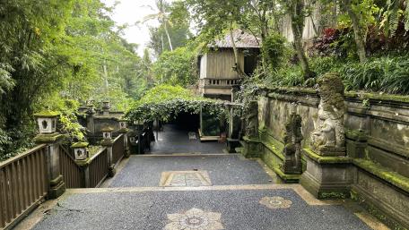 Tranquil Pathway Through Lush City Garden wallpaper