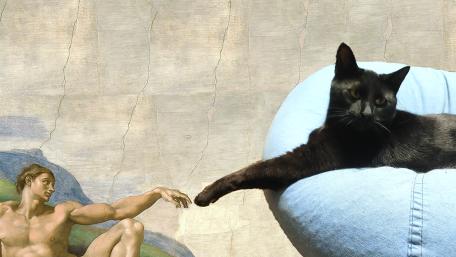 Michelangelo's Creation of Cat Meme with Humor Magic wallpaper