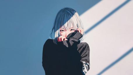 Silver Silhouette in Shadows wallpaper