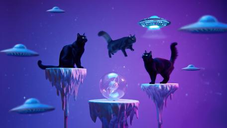 Galactic Feline Adventures Unleashed wallpaper