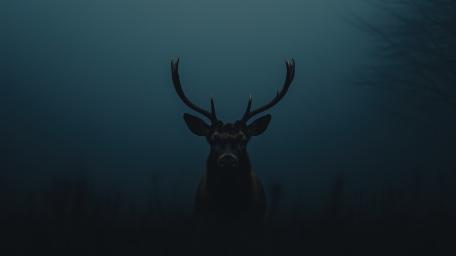 Deer at Twilight in Misty Wilderness wallpaper