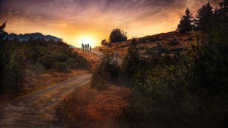 Sunset Stroll Through Serene Trails wallpaper