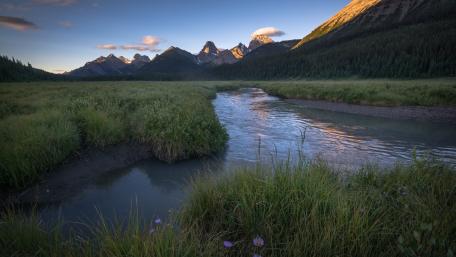Moose Meadows Serenity in Canadian Rockies wallpaper
