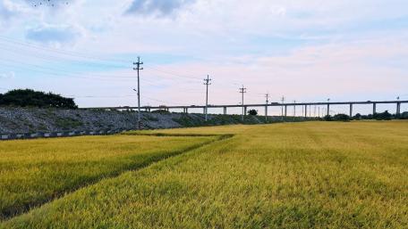 High Class Highway Landscape wallpaper