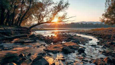 Serene Riverbed at Sunset in 4K Detail wallpaper
