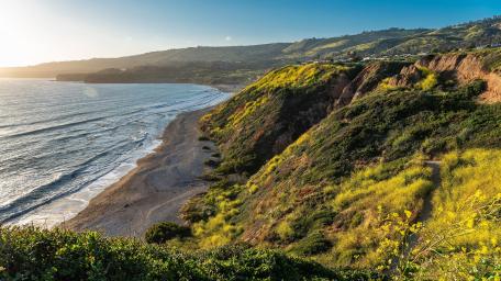 Coastal Beauty on the Pacific Highway California wallpaper