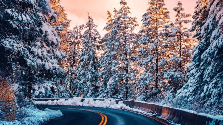 Winter Wonderland on a Forest Road wallpaper