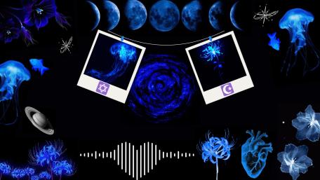 Midnight Aesthetic Vibes in Black and Blue wallpaper
