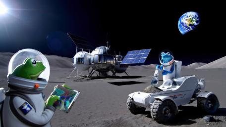 Frog Station on Moon wallpaper