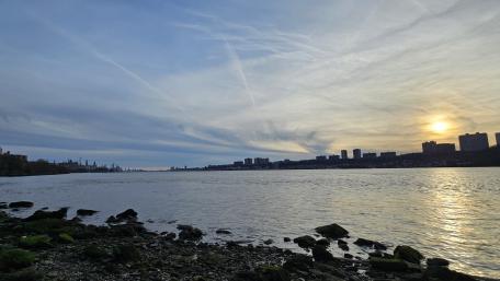 Serene Cityscape by the Water wallpaper