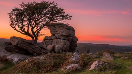 Dartmoor Serenity Sunset Over Rocks and Tree wallpaper