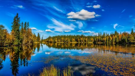 Autumn Serenity by the Riverbank wallpaper
