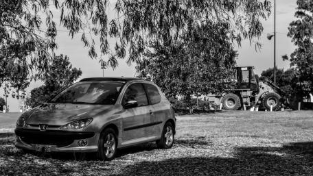 Black and White Elegance Peugeot 206 in Nature wallpaper