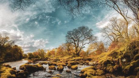 Autumn Tranquility by the Riverbank in 4K wallpaper