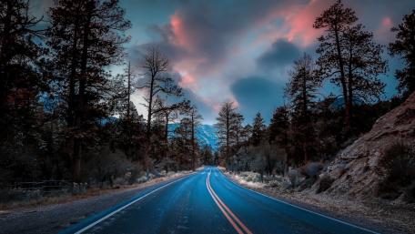 Road Through the Enchanted Woods wallpaper