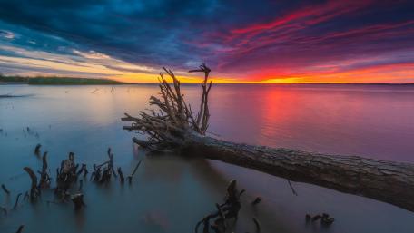 Driftwood Serenity by the Lake at Sunset wallpaper