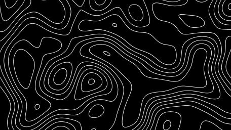 Abstract Topographical Lines in Black and White wallpaper